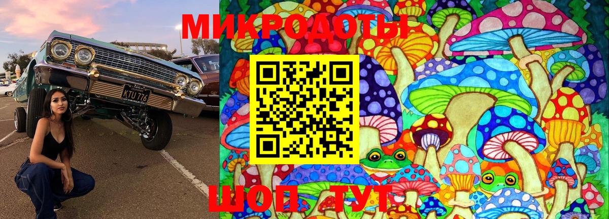 Озёрск  Псилоцибиновые грибы Cubensis  Вход с VPN  Галлюциногенные грибы мухоморы 